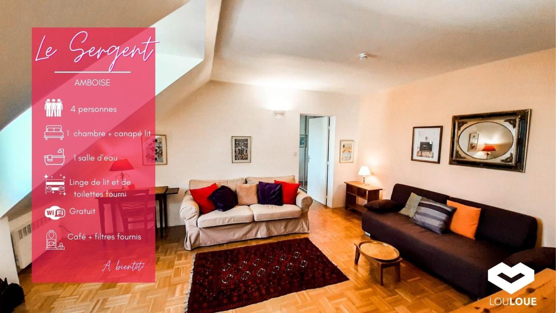 Spacious T2 Apt In City Center. Amboise Eksteriør billede